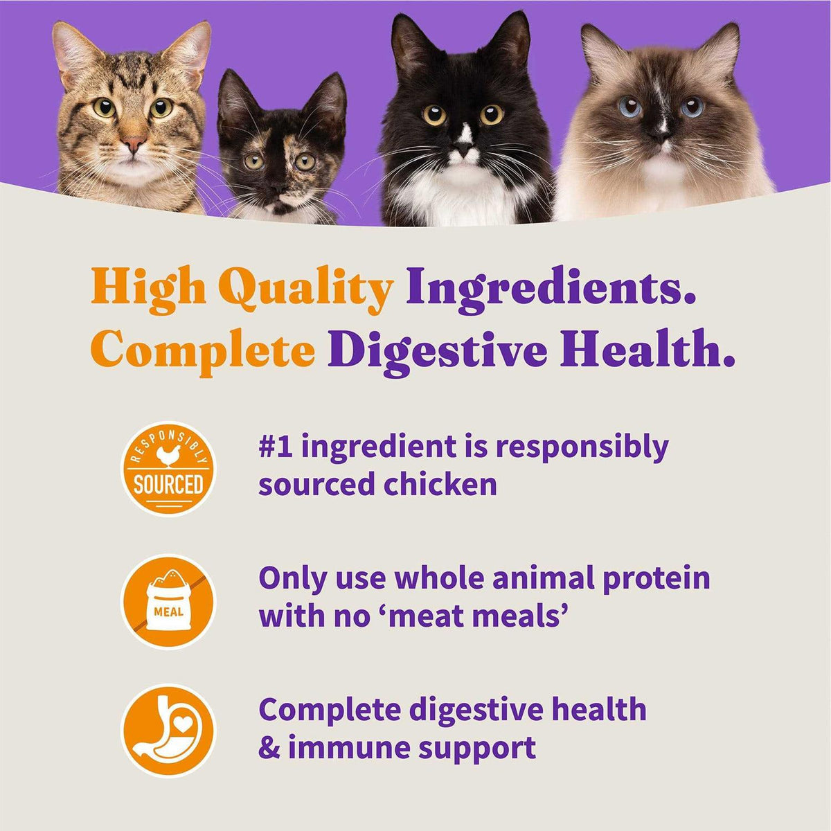 Grain-Free Chicken & Chicken Liver Dry Cat Food P349