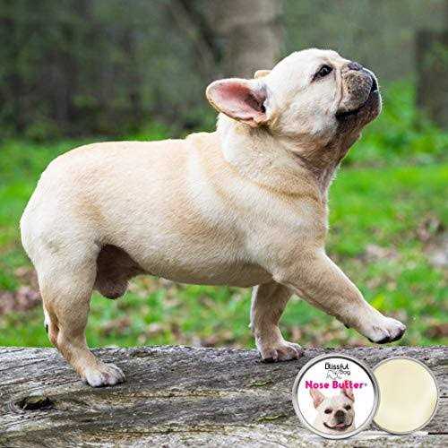 Bulldog Unscented Nose Butter G823192
