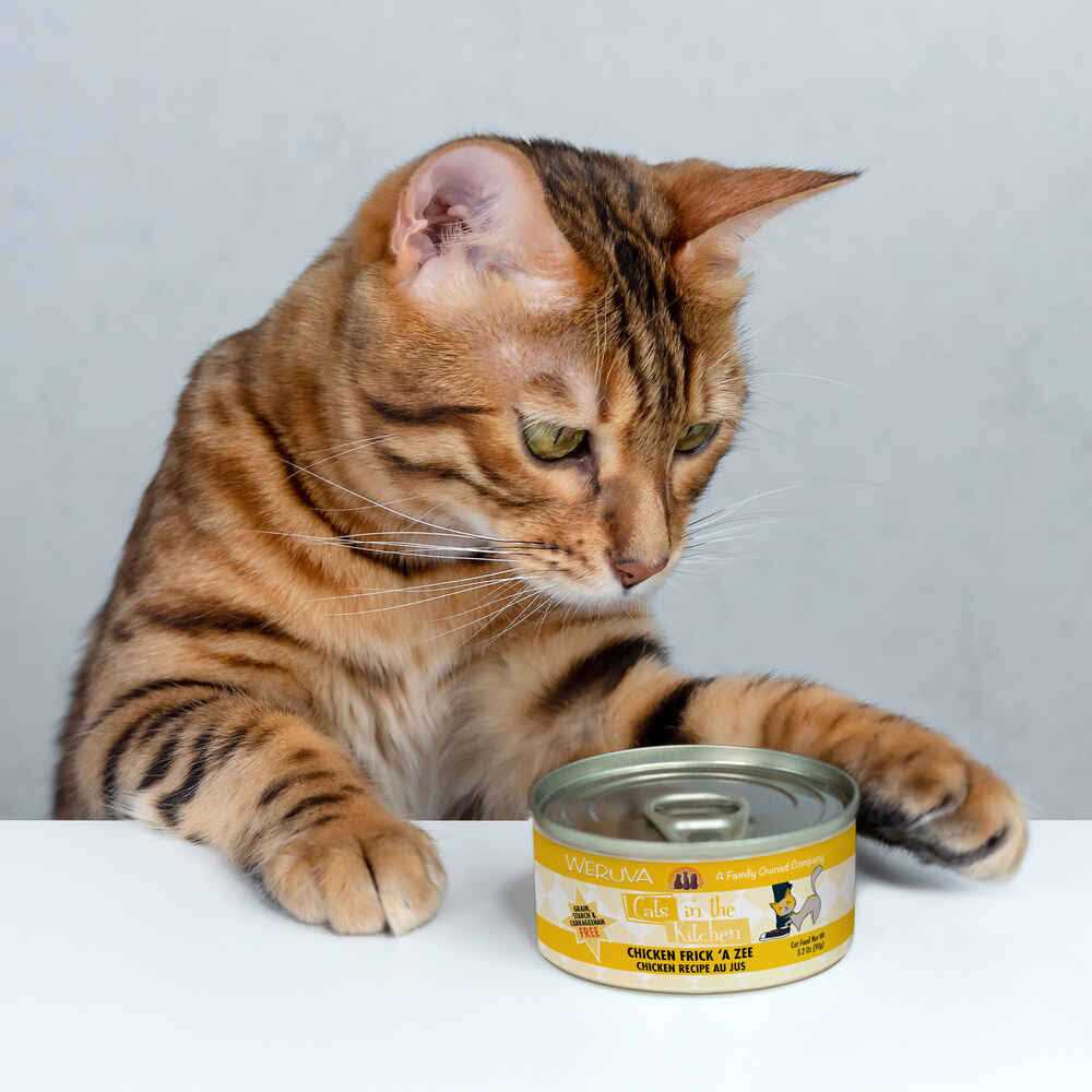 Chicken Cat Food F613305