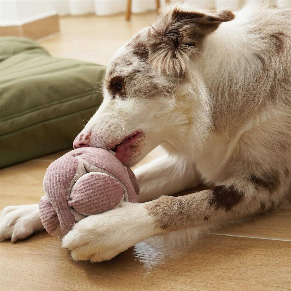 Dog Toy S47206
