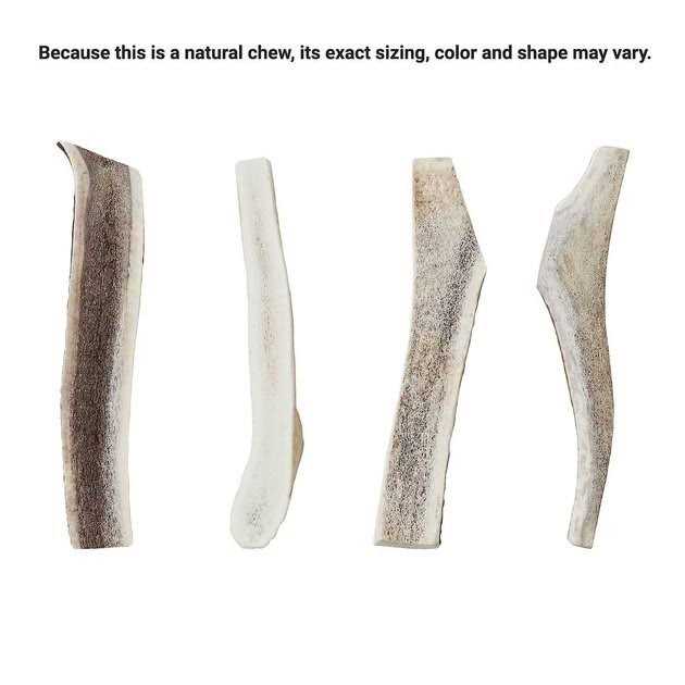 Elk Antler Split Dog Chew X10224