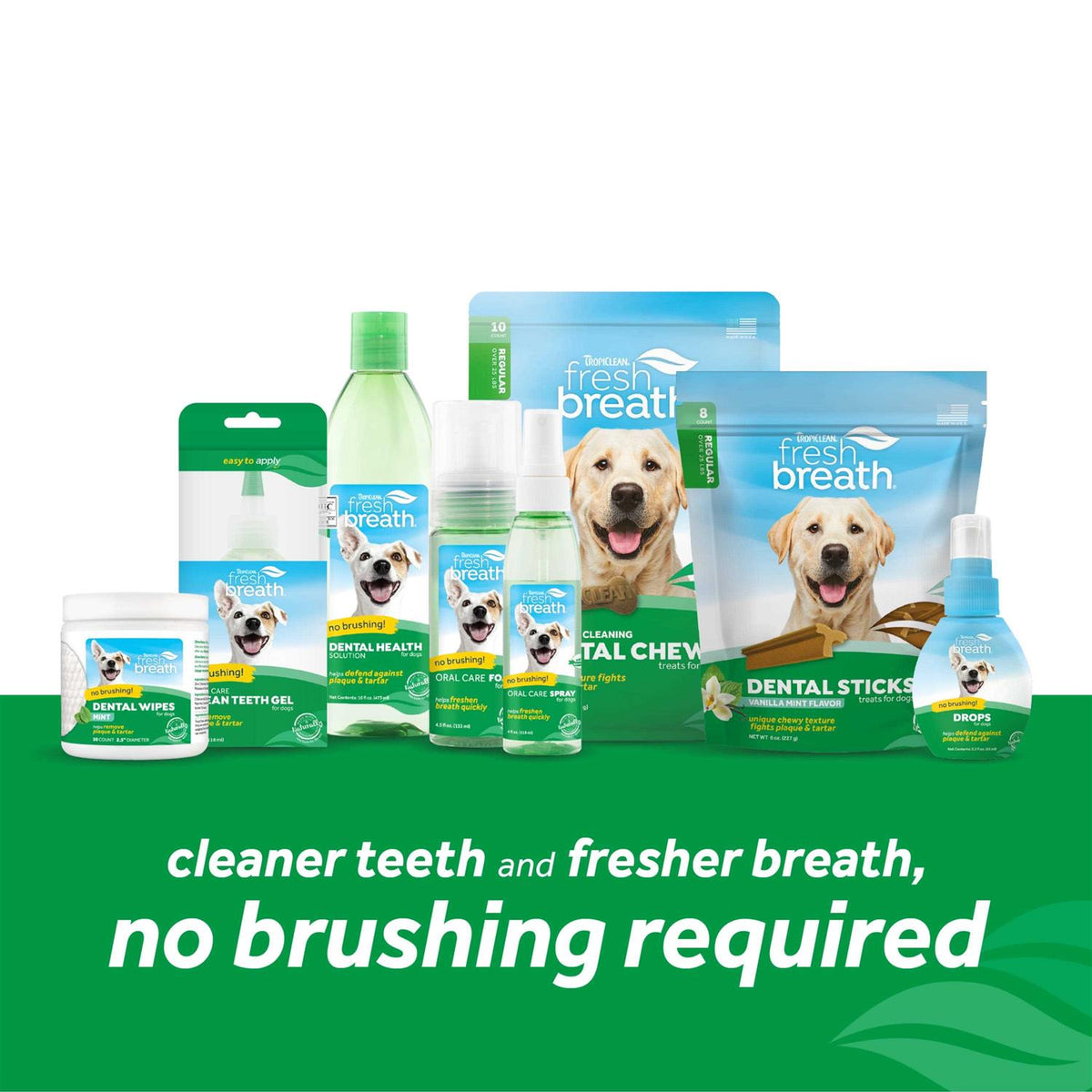 Fresh Breath Oral Care Spray Y14214