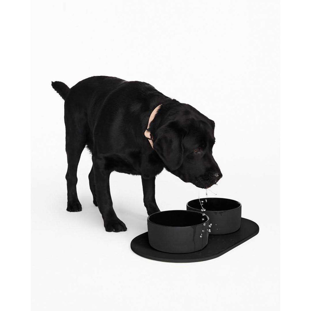 Dog Bowl Mat X377