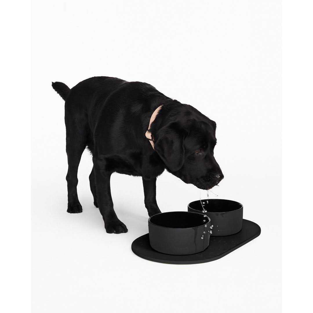 Dog Bowl Mat X377