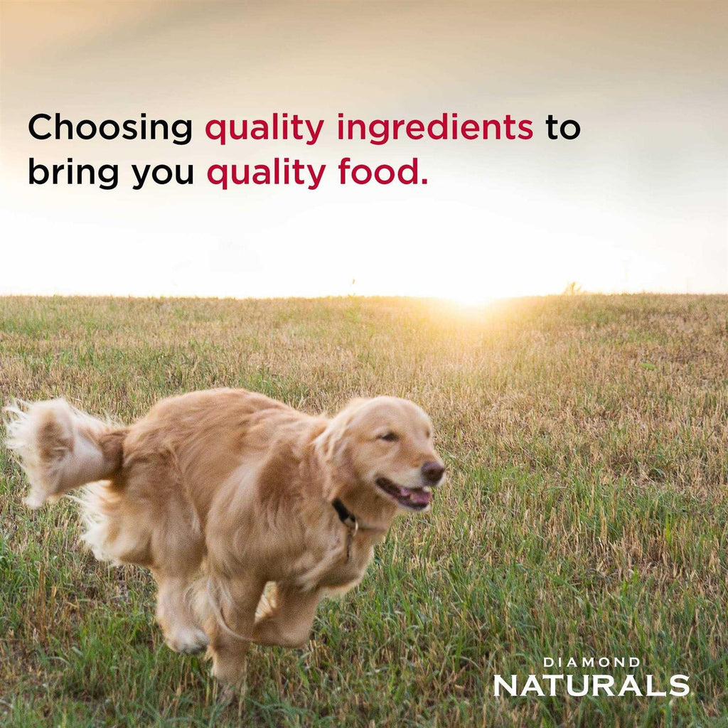 Lamb Meal & Rice Adult Dog Food Z131846