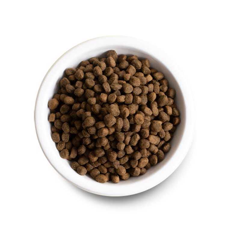 Chicken Ancient Grains Dry Dog Food Y556185