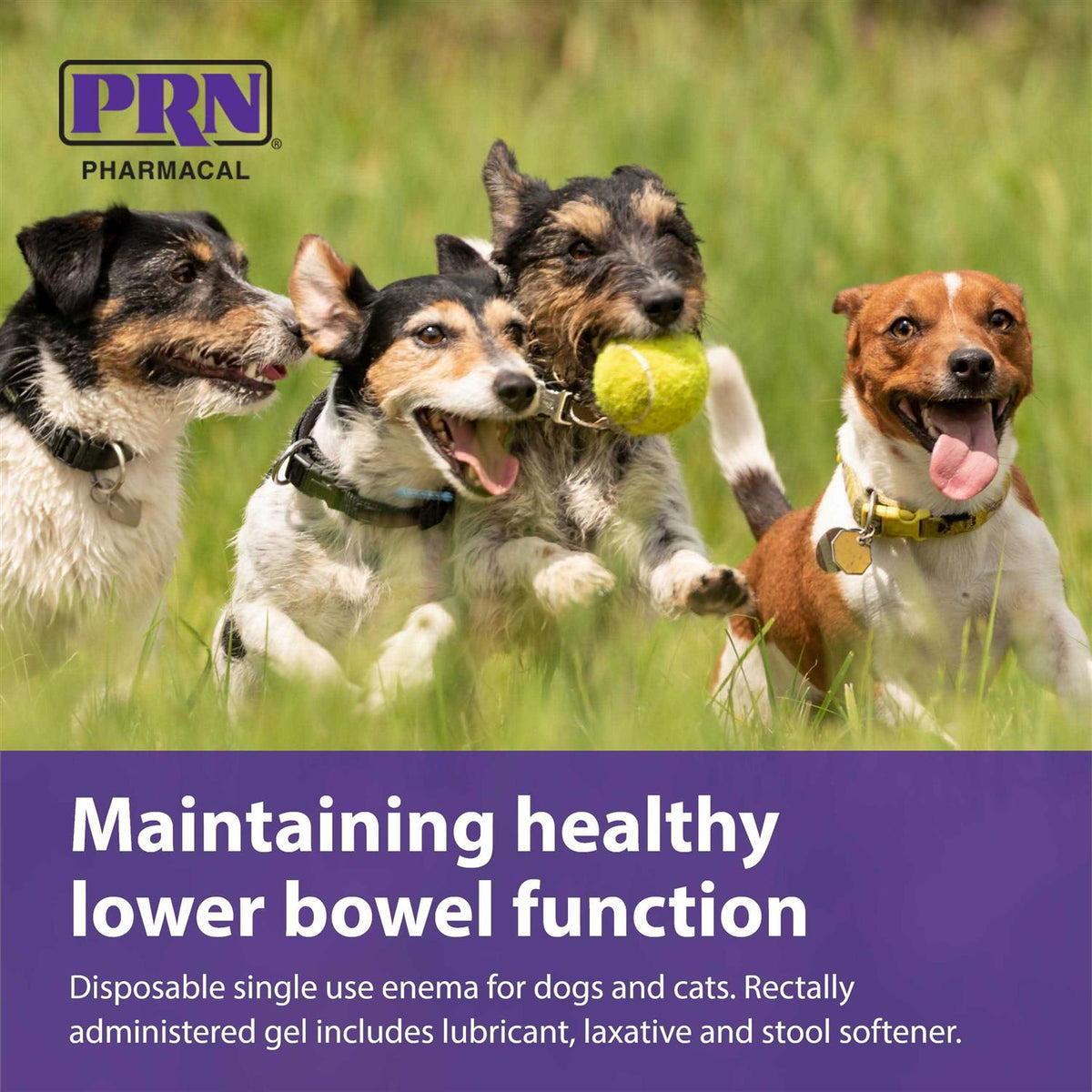 Pet-Ema for Dogs & Cats U134