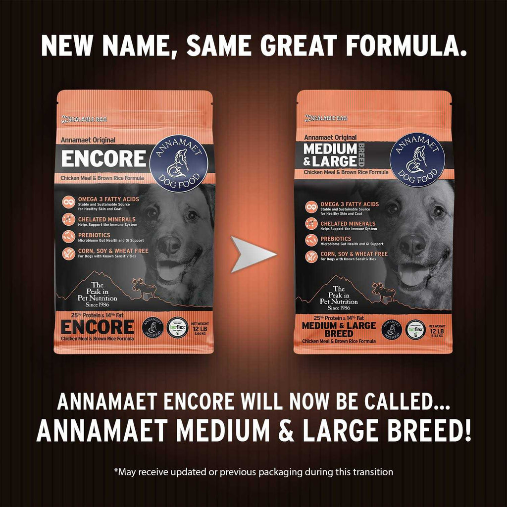 Medium & Large Breed Dry Dog Food I7612