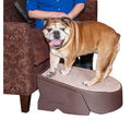 Dog Stair and Ramp Combination X57000