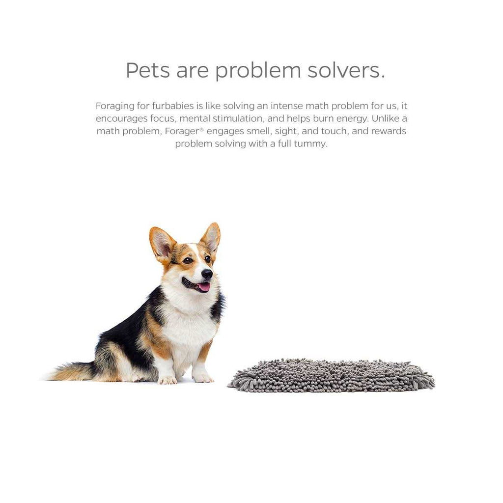 Slow Feeder Cat & Dog Snuffle Mat O721