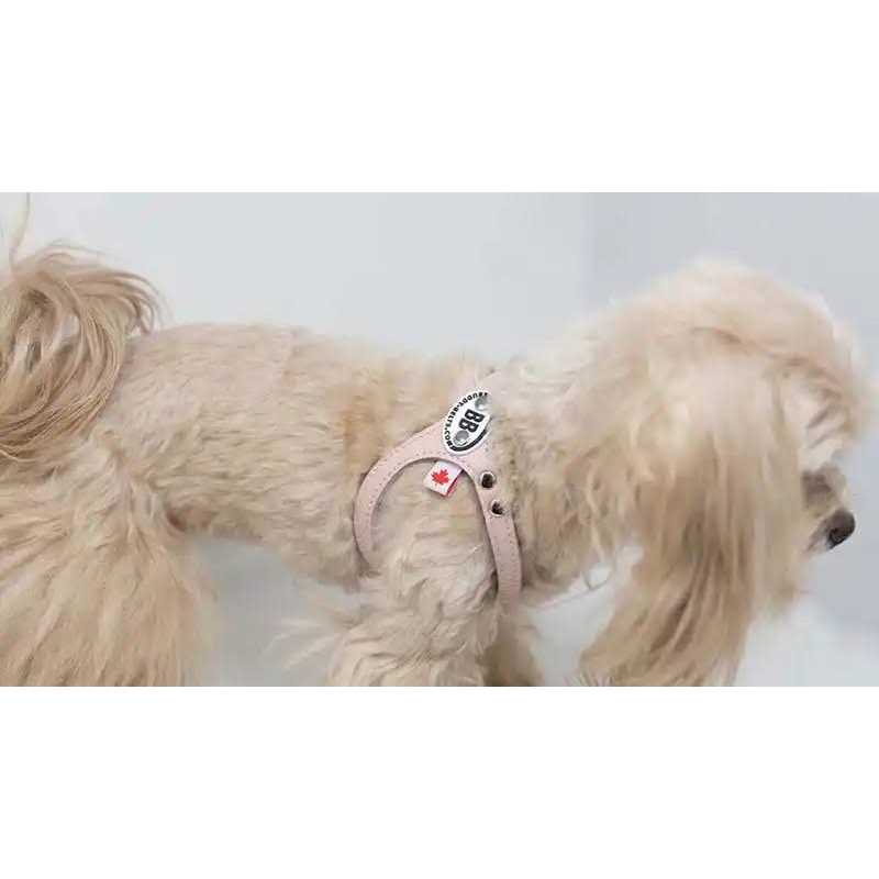 Pebble Grain Harness W5022