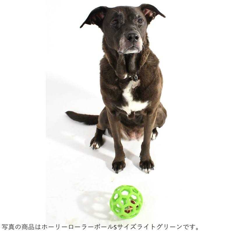Dog Toy X954345