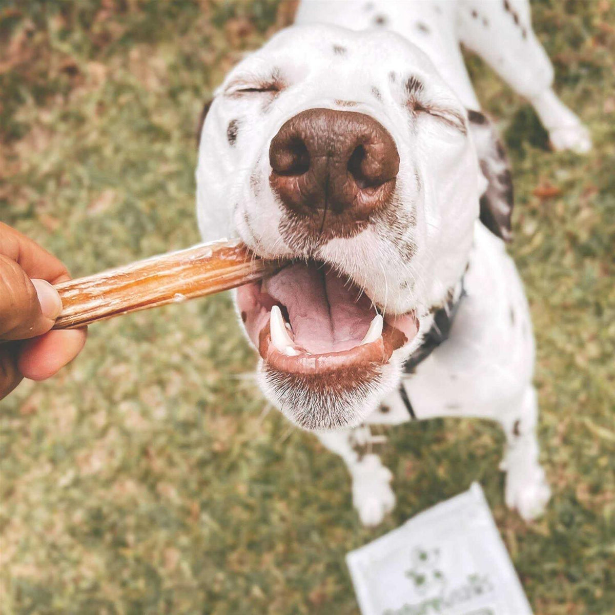 Natural Beef Bully Sticks for Dogs E7615