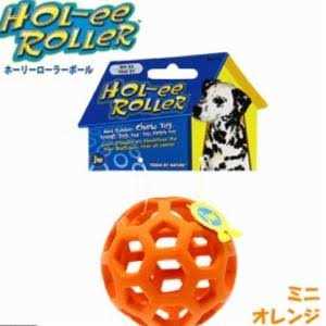 Dog Toy X954345