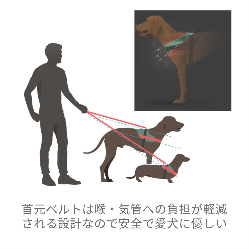Powerharness Q15503