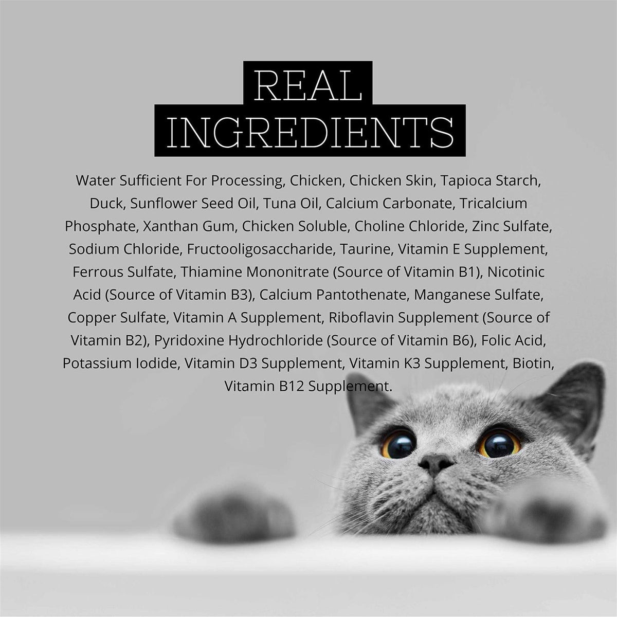 Chicken Gravy Cat Food T588296