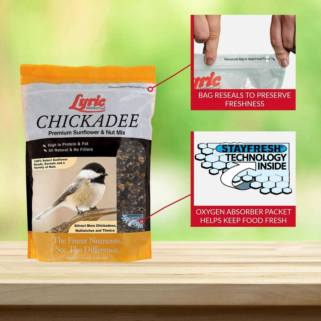 Chickadee Wild Bird G843592