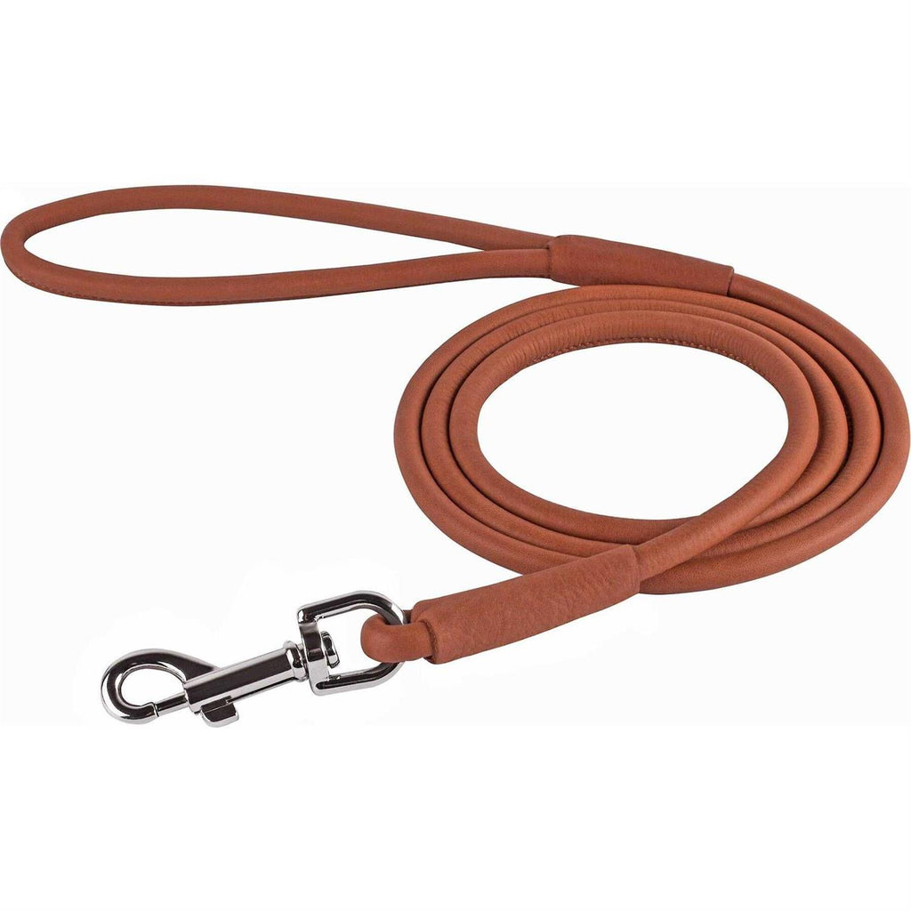Rolled Leather Dog Leash A372