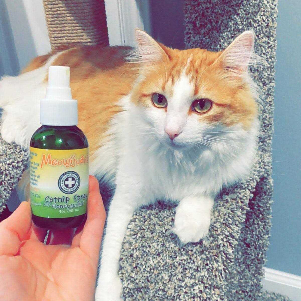 Catnip Spray B1713