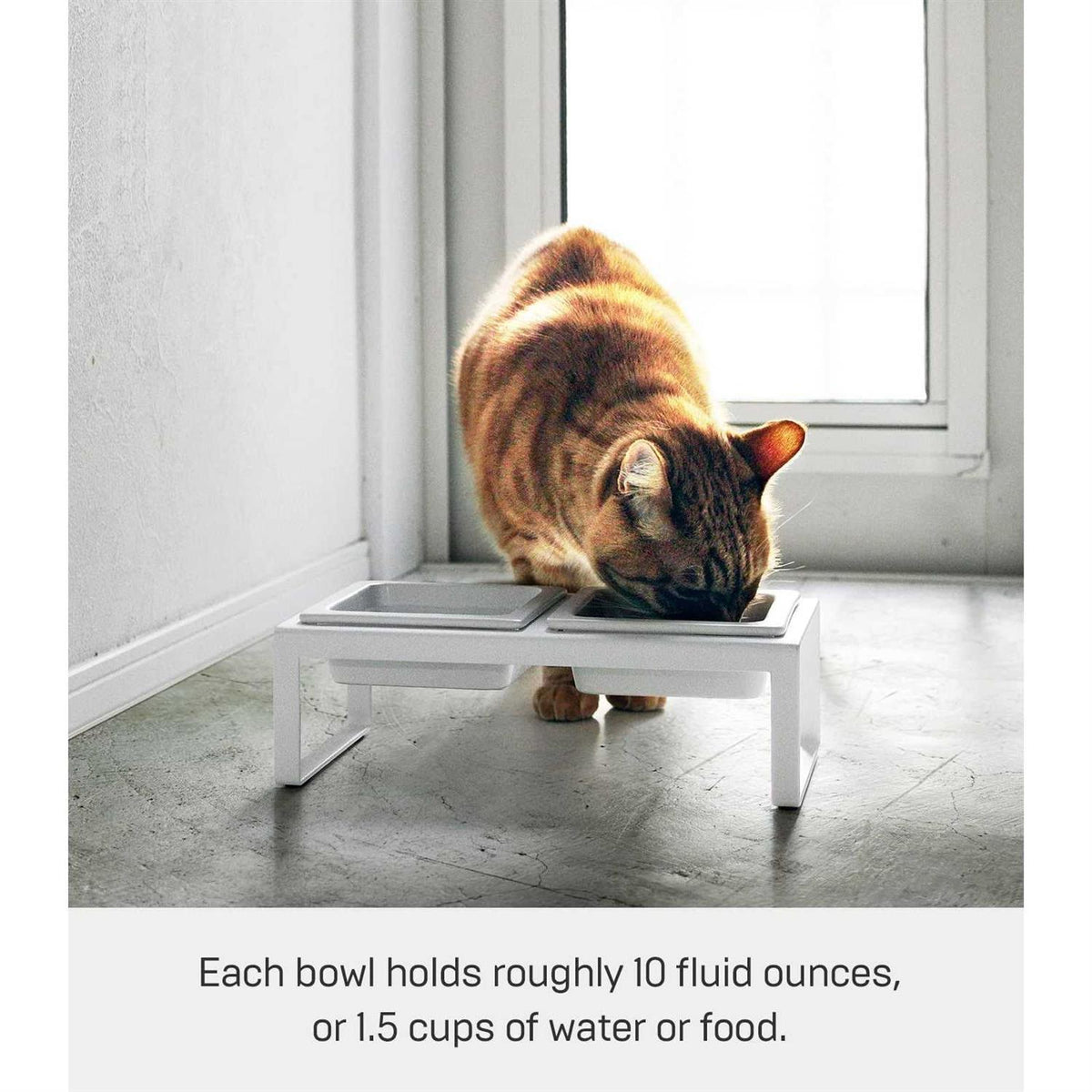 Pet Food Bowl X609153