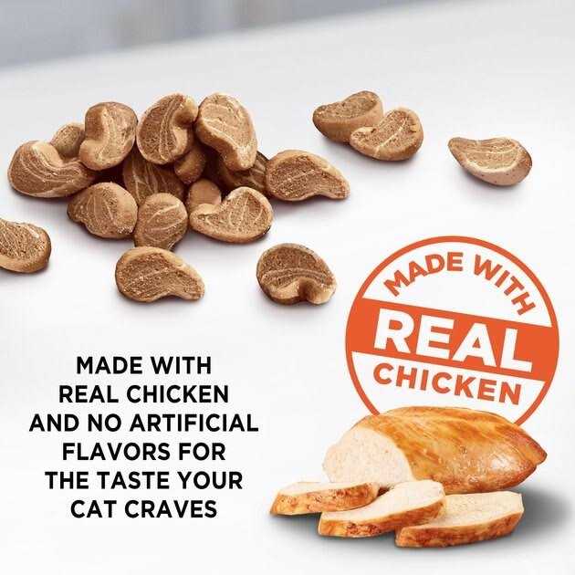 Cat Treats Soft K835