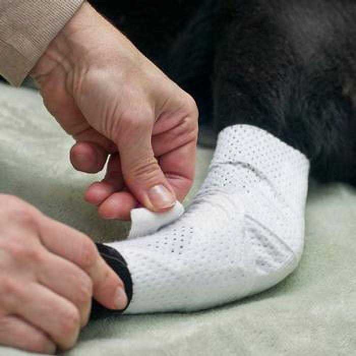 Pets Bandages D637669