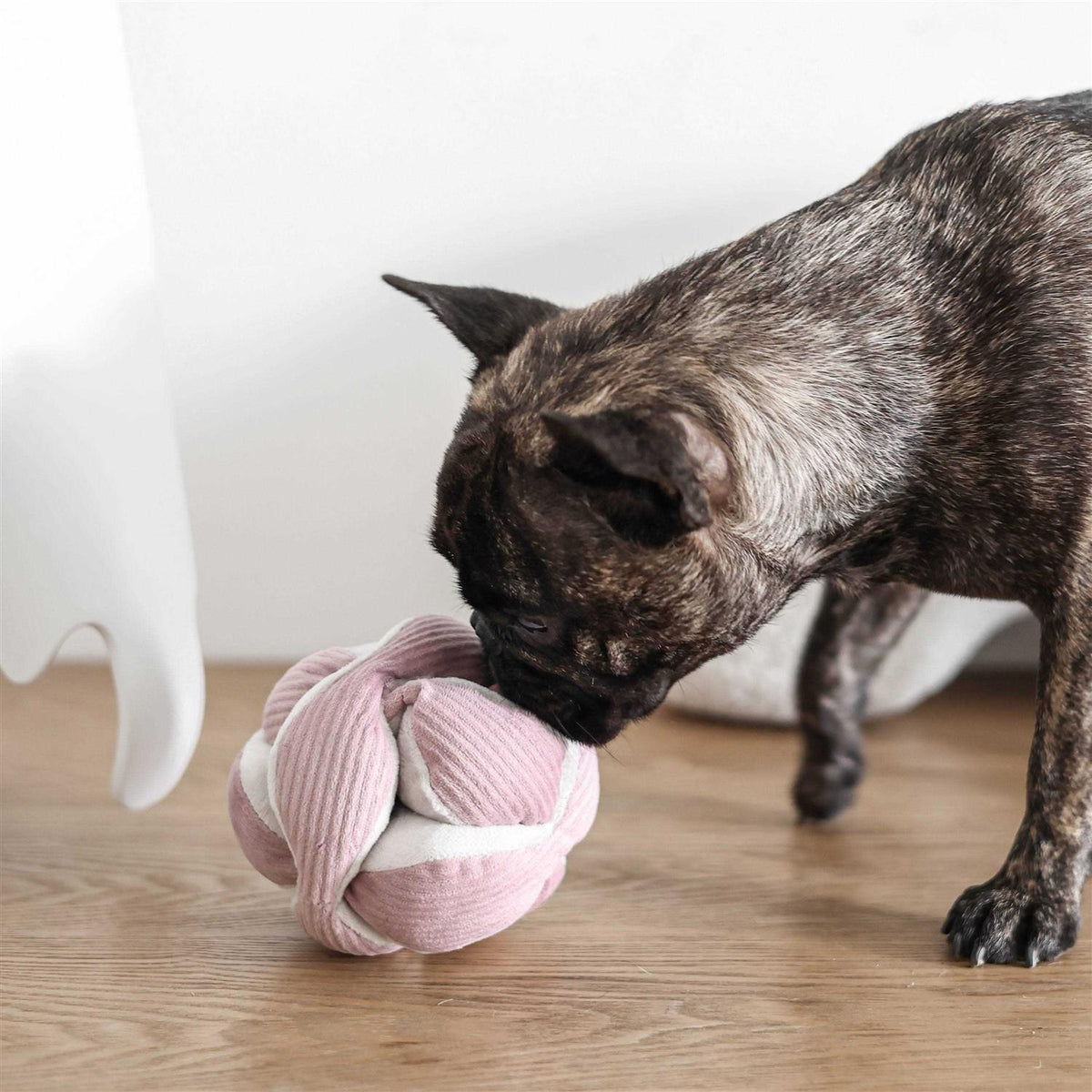 Dog Toy S47206
