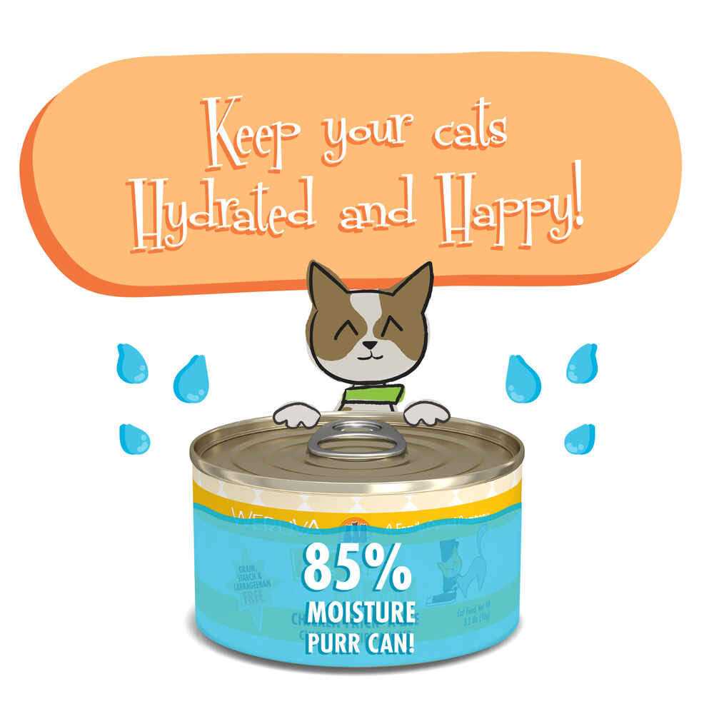 Chicken Cat Food F613305