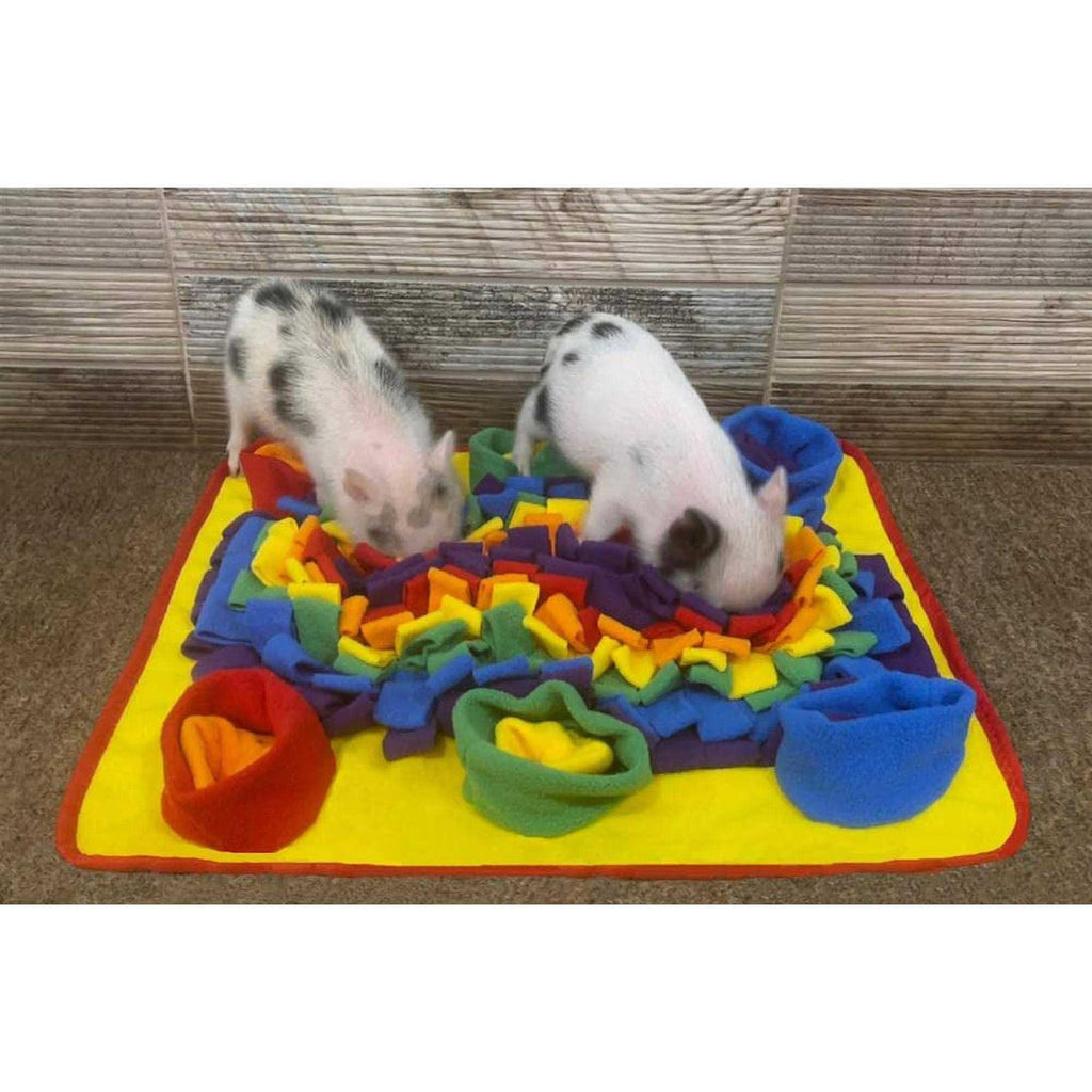 Rainbow Pet Snuffle Mat Z9306