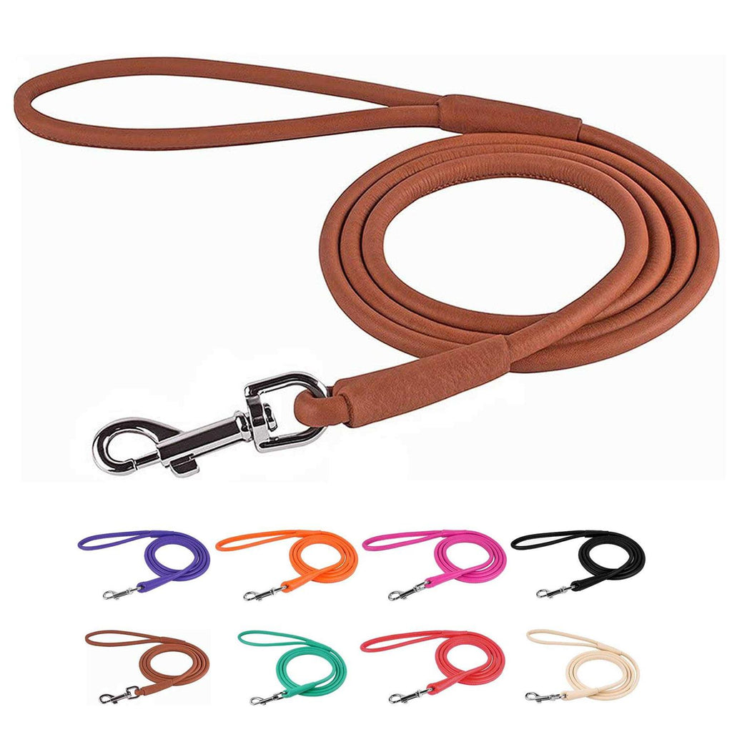 Rolled Leather Dog Leash A372