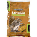 Squirrels Ear Corn Cobs Q80383