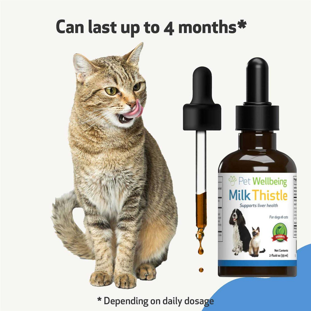 Milk Thistle for Dogs B369