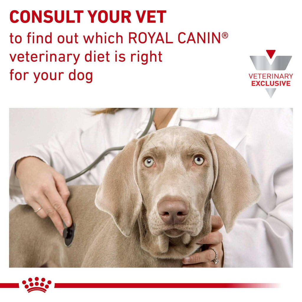 Veterinary Diet Dry Dog Food R488874