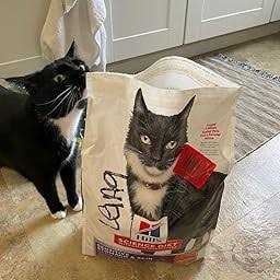 Sensitive Stomach & Skin Grain Free Dry Cat Food R64182