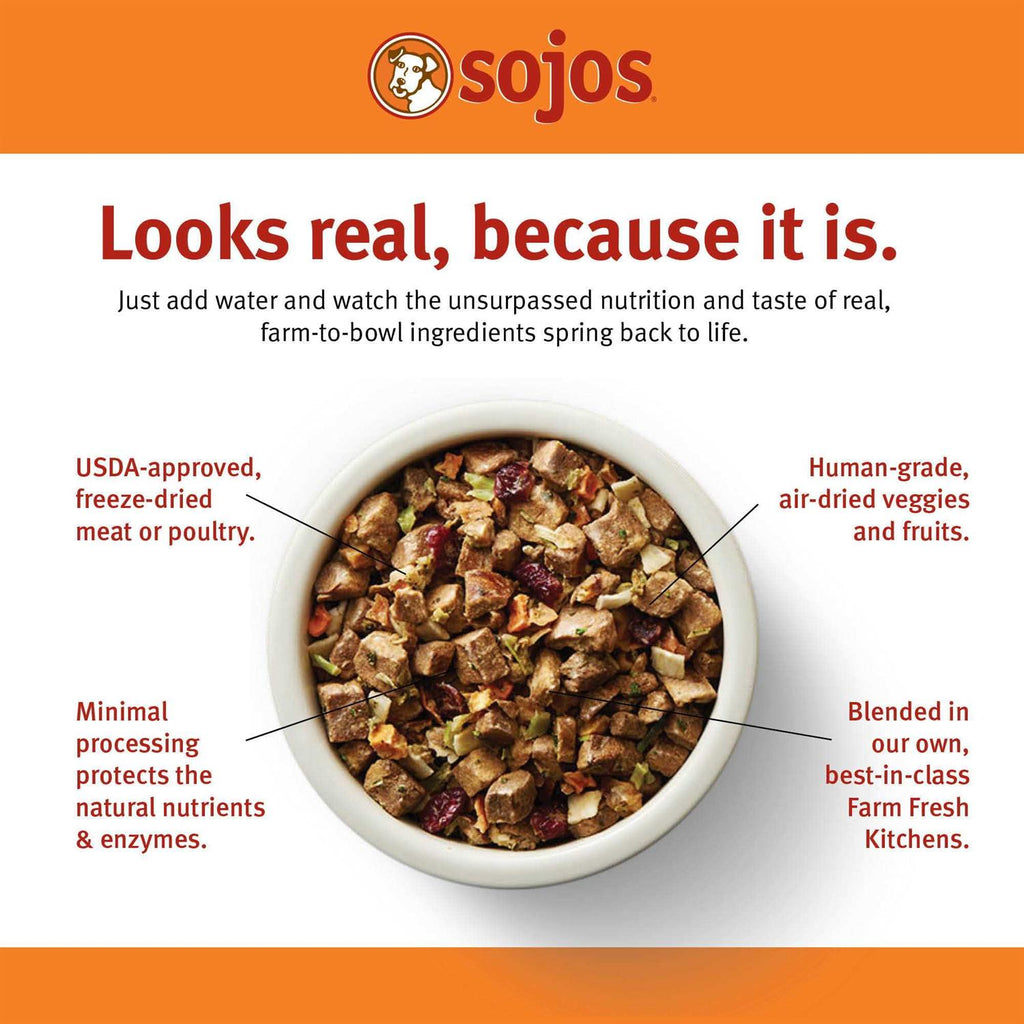 Beef Recipe Dog Food V7845