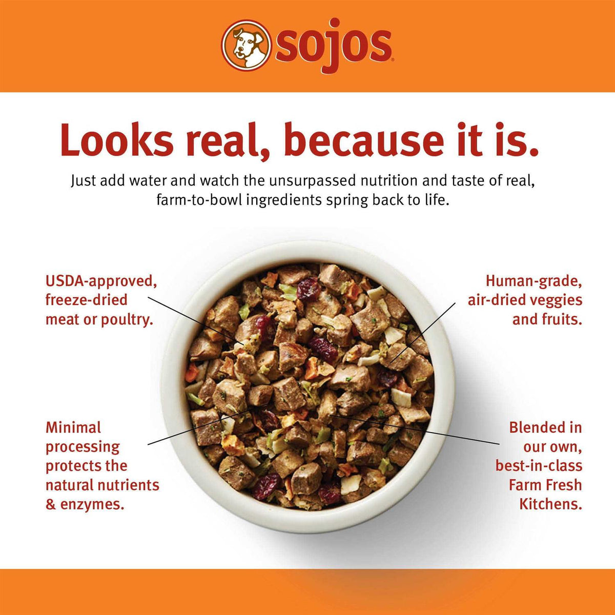 Beef Recipe Dog Food V7845