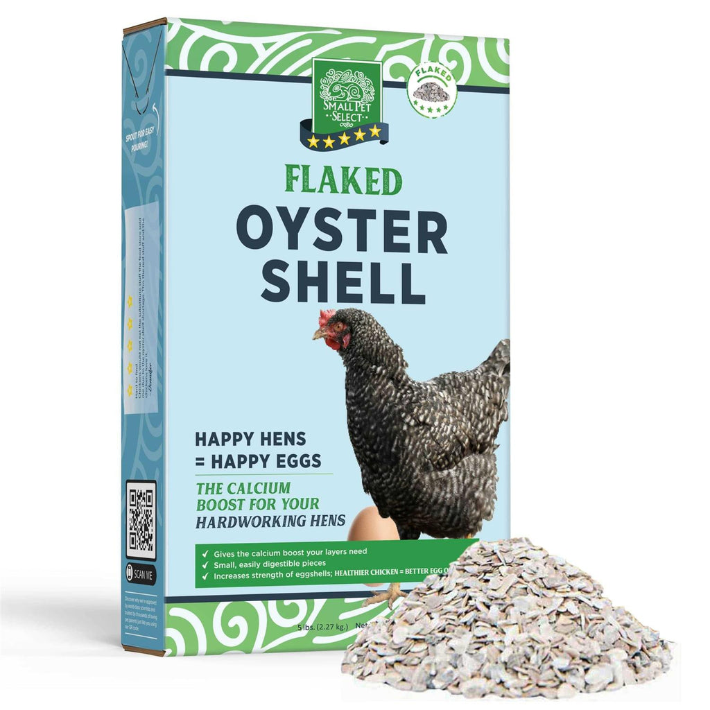 Flaked Oyster and Seashell A2243