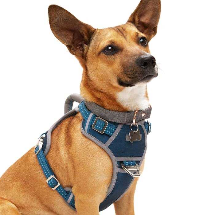 Navy Dog Harness U156187