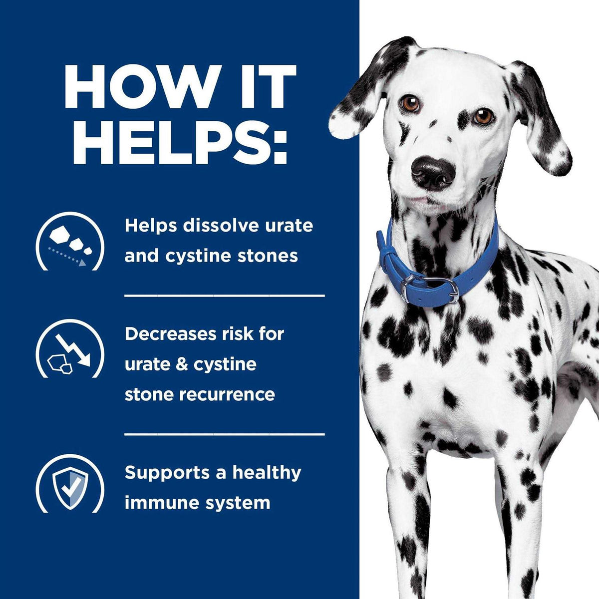 Urinary Care Dry Dog Food A854