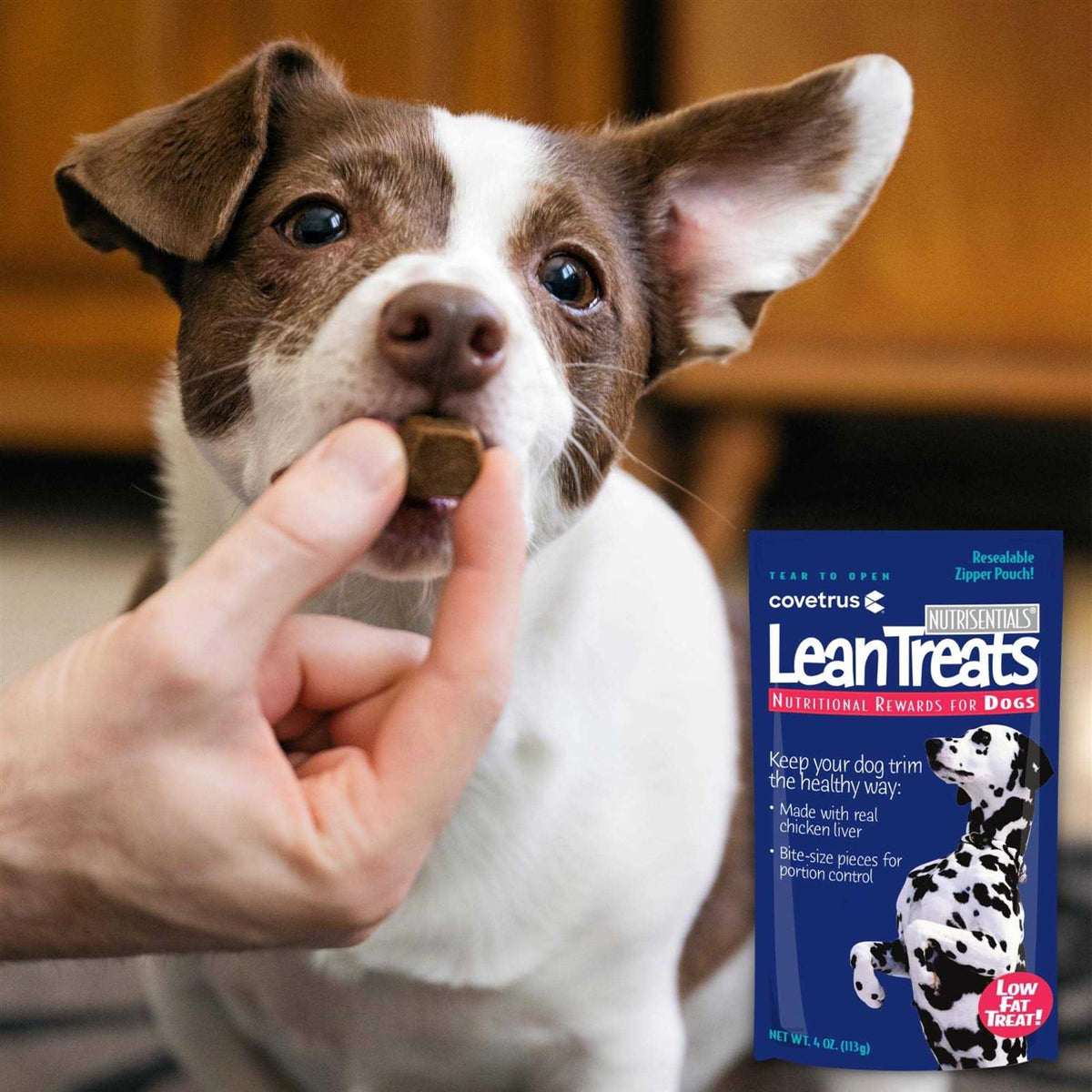 Lean Treats Dogs K889810