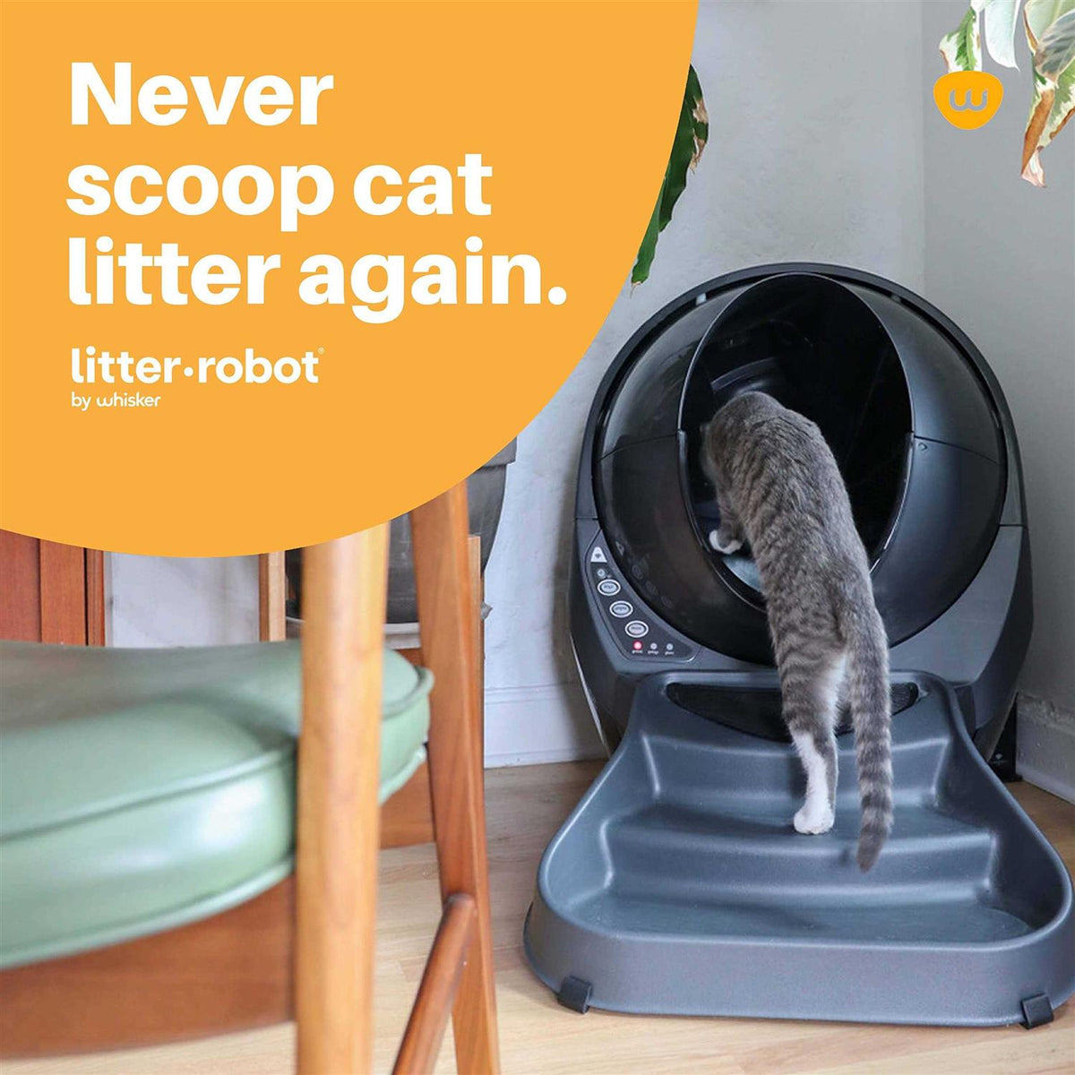 Cat Litter Box Ramp P873677