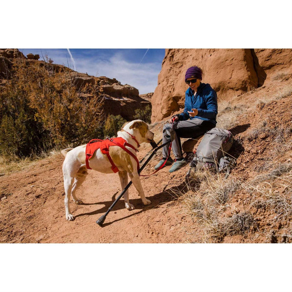 Harness P69816