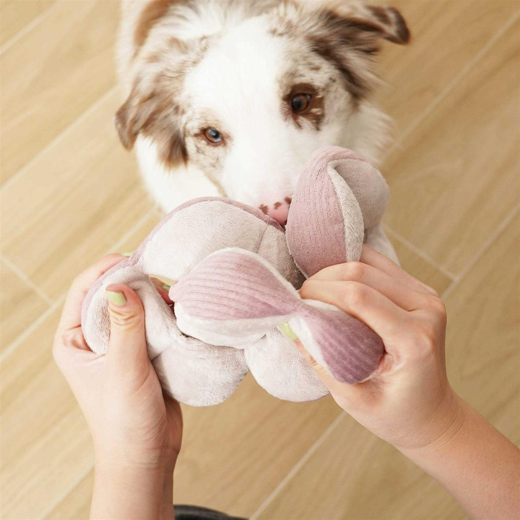 Dog Toy S47206