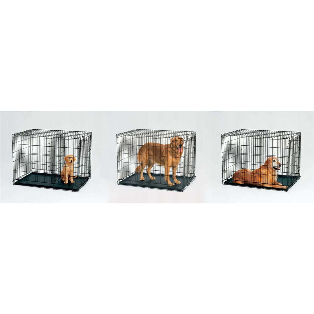 Double Door Dog Crate P34938