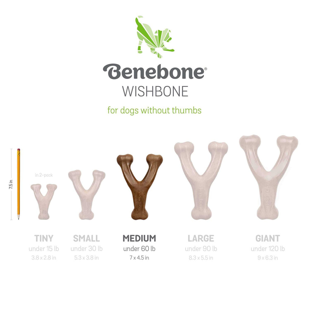 Wishbone Dog Chew P9679