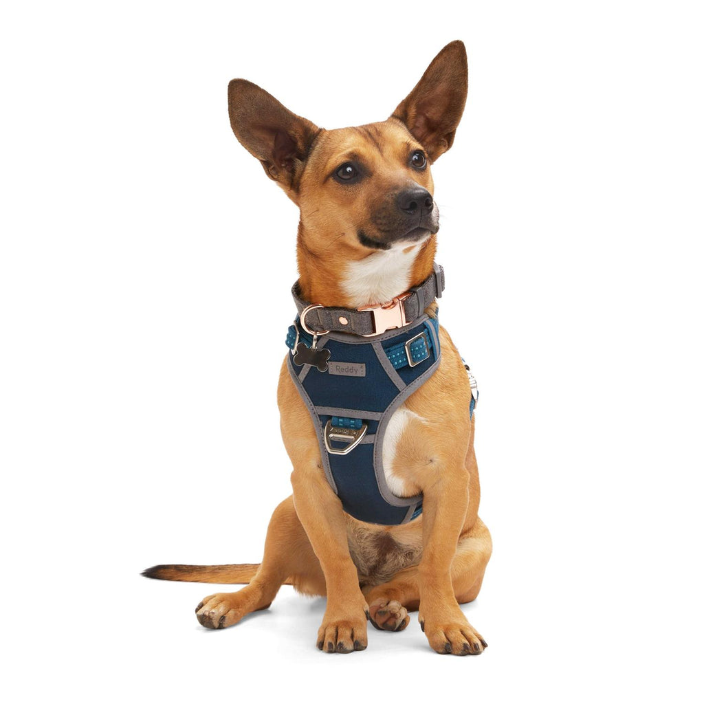 Navy Dog Harness U156187