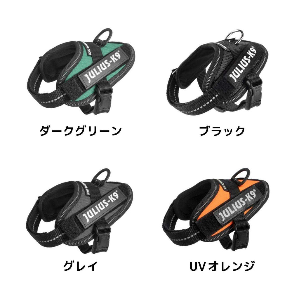 Powerharness Q15503