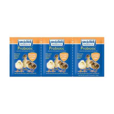 Probiotic Supplement Q9495