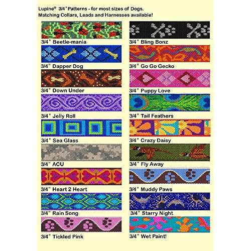 Dog Collar F753114