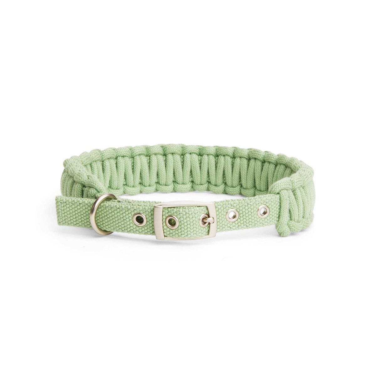 Macrame Dog Collar P421120